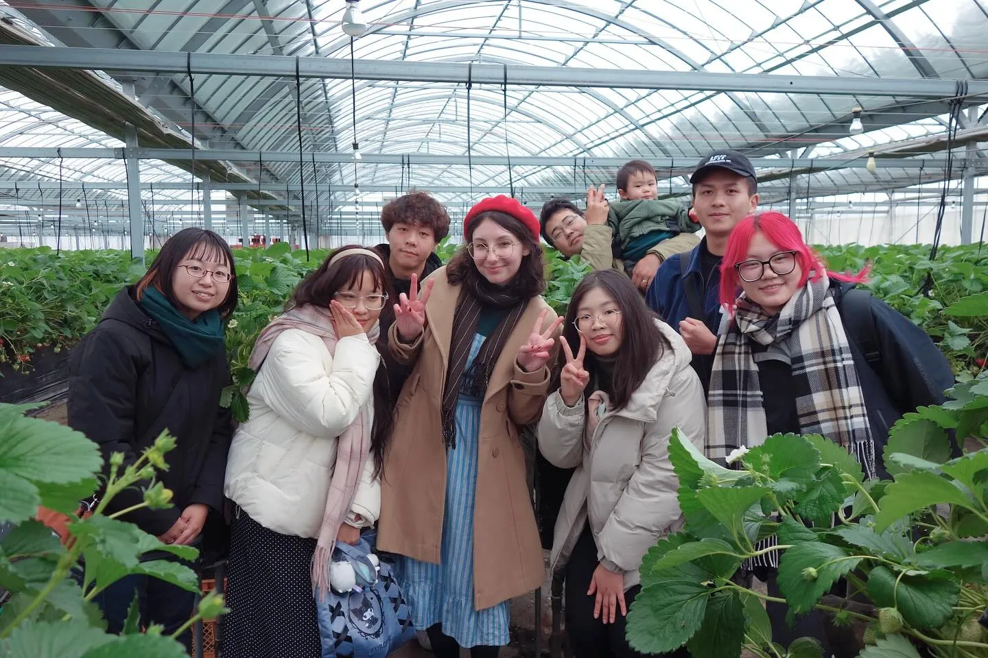 留学生さん向けの講話とハウス見学🍓