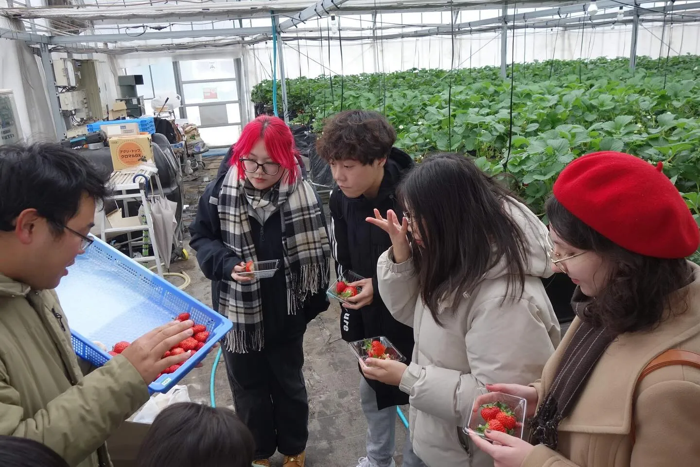 留学生さん向けの講話とハウス見学🍓