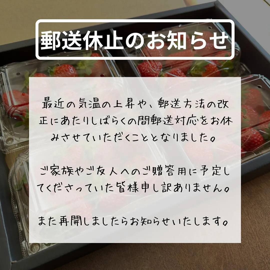 郵送はお休みします📢