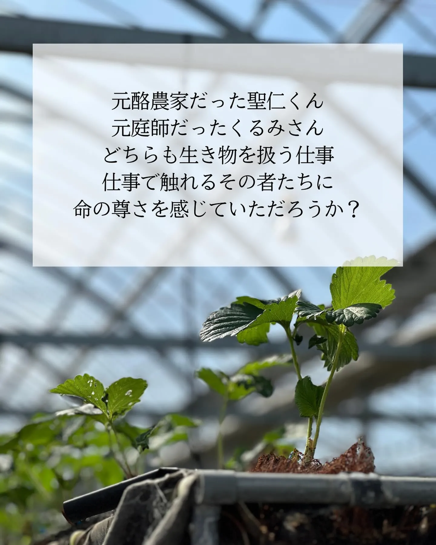 【時々まじめな話】