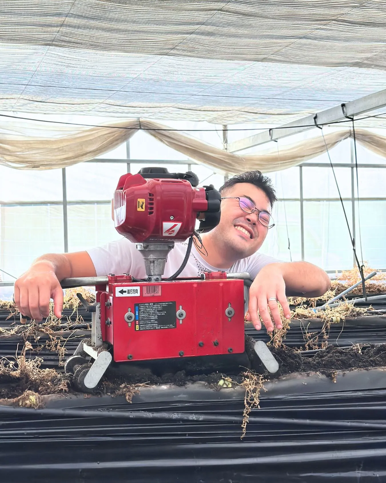 【いちごの進捗】