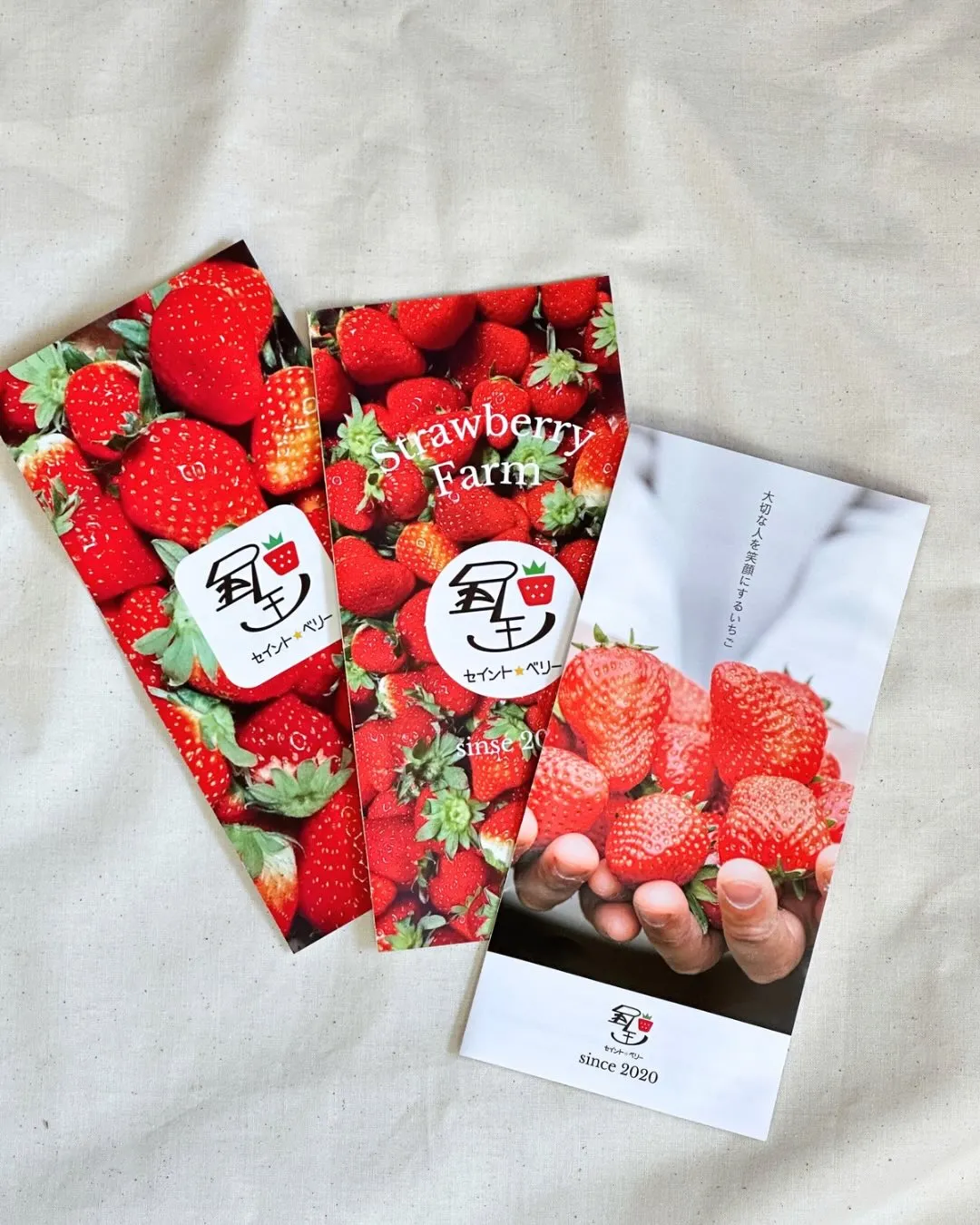 【パンフレットが新しくなりました！】