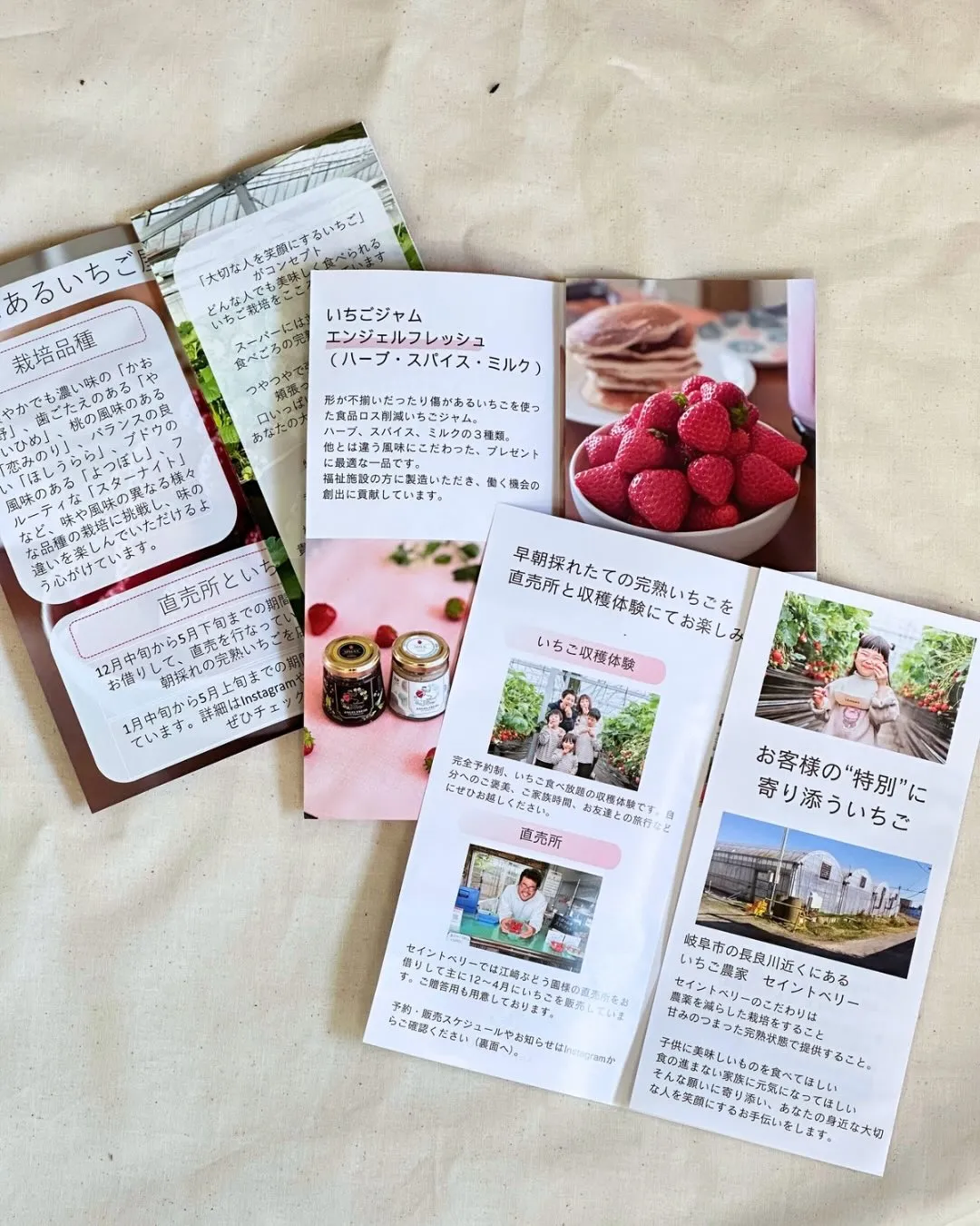 【パンフレットが新しくなりました！】