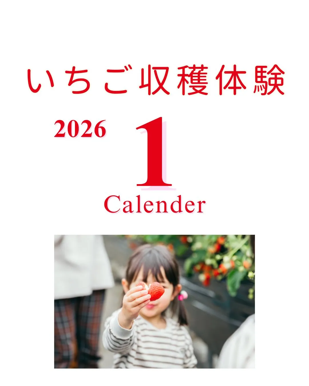 【いちご収穫体験1月の営業日】