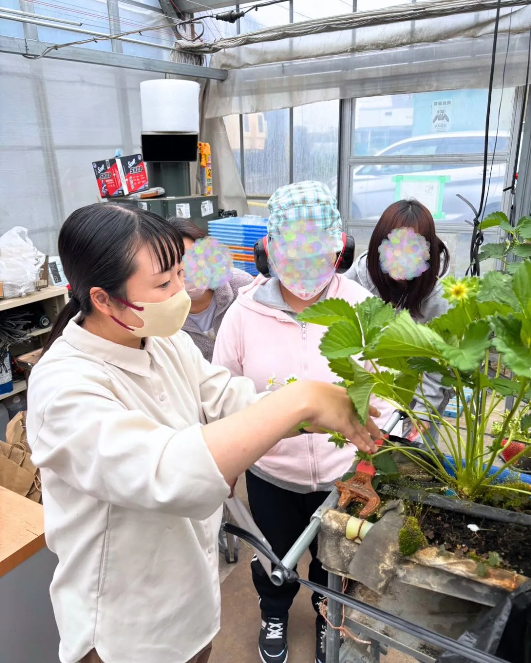 【お仕事見学】