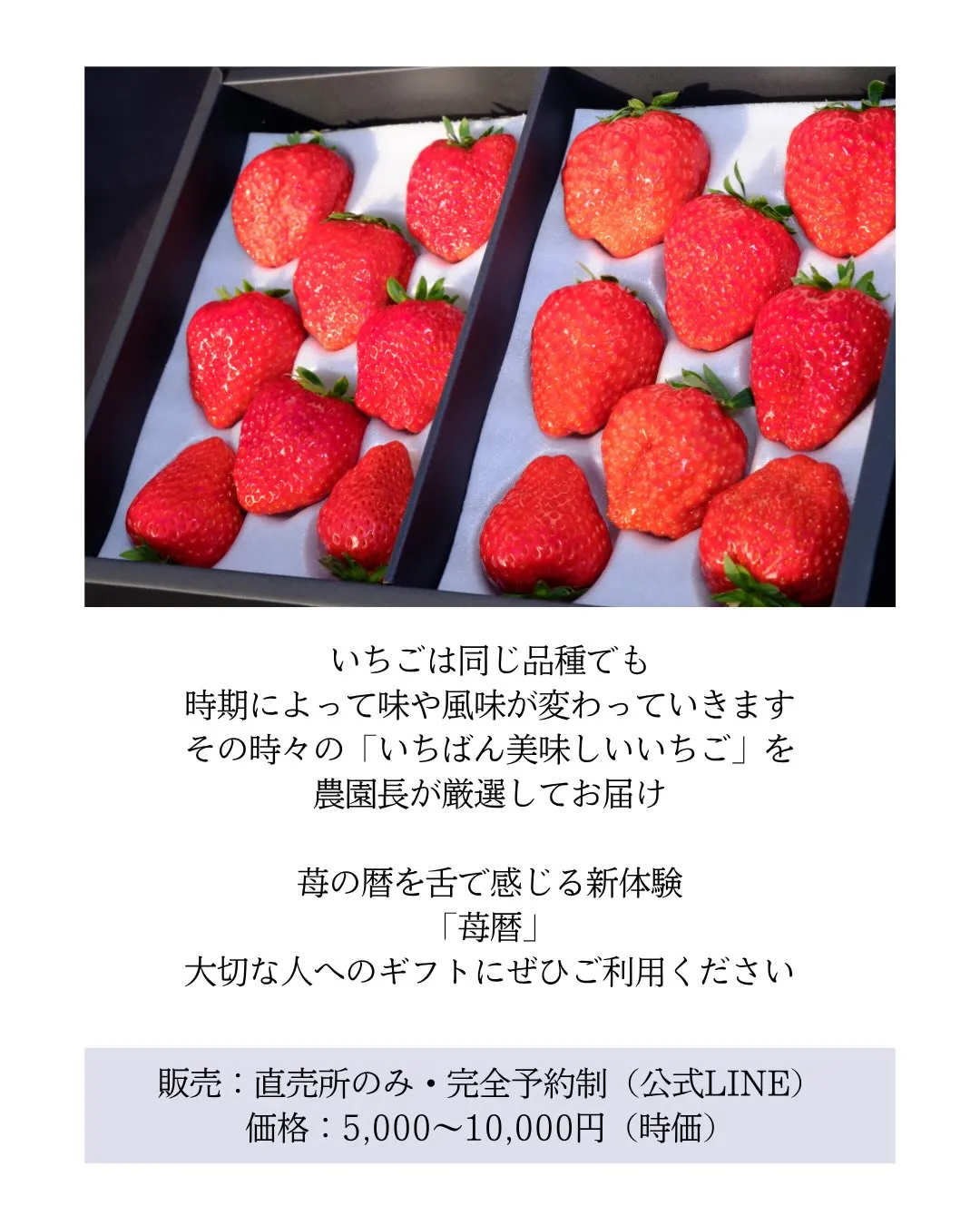 【新商品のお知らせ】