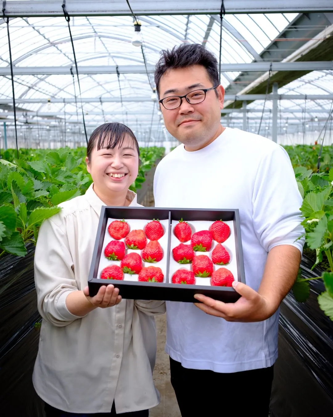 【新商品のお知らせ】